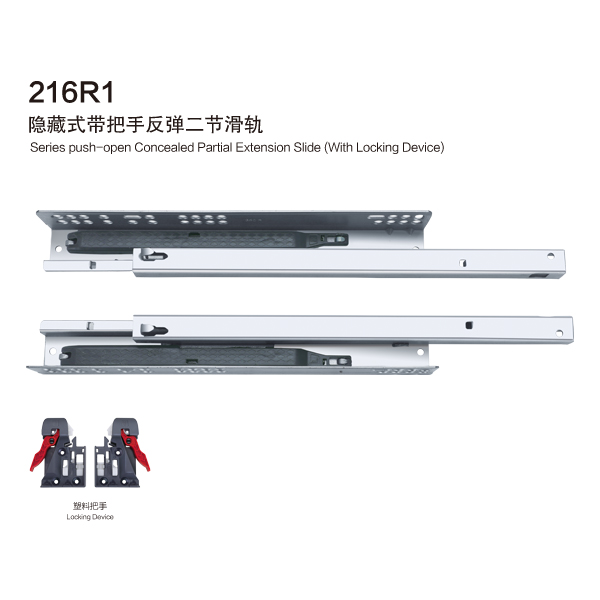 216R1